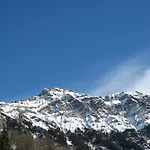 Inn Swiss Bernerhof 5*