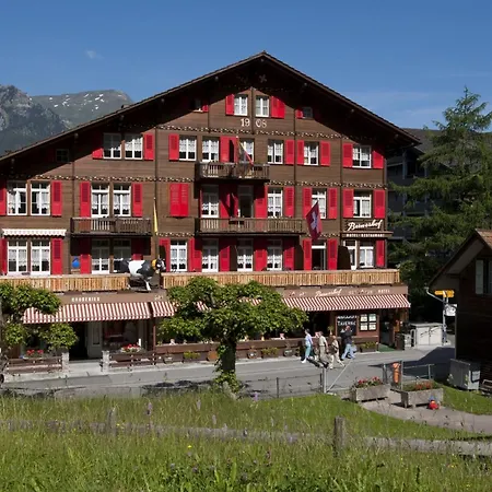 Han/Misafirhane Swiss Bernerhof 5*