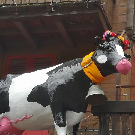 Swiss Bernerhof 5* וונגן