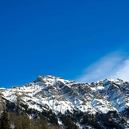 Swiss Bernerhof 5* Wengen