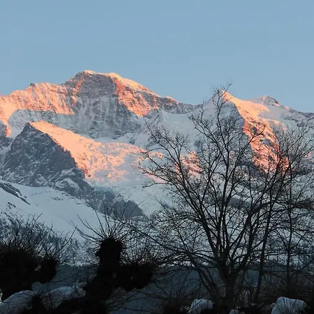 Swiss Bernerhof 5*