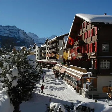 Han/Misafirhane Swiss Bernerhof