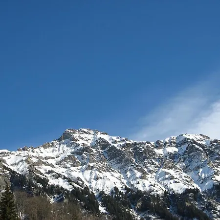 Han/Misafirhane Swiss Bernerhof 5*