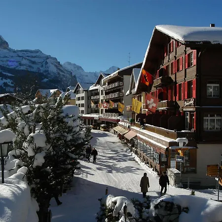 Han/Misafirhane Swiss Bernerhof 5*