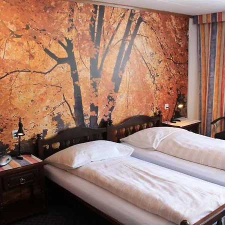 Han/Misafirhane Swiss Bernerhof 5*