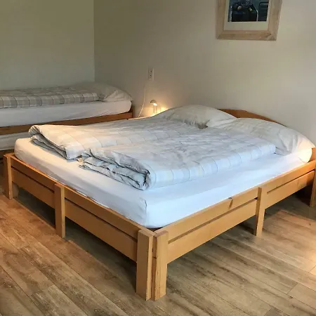 Swiss Bernerhof אורחן וונגן