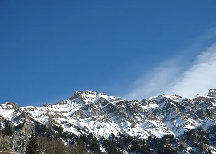 Locanda Swiss Bernerhof 5*