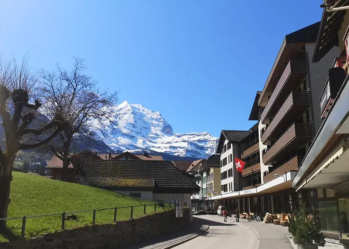 Swiss Bernerhof Inn 5*